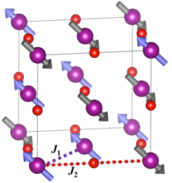 Magnetic structure of manganese oxide (MnO)