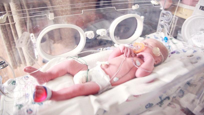 Newswise: New Machine Learning Tool Predicts Devastating Intestinal Disease in Premature Infants