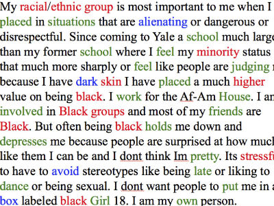 stereotype college essay
