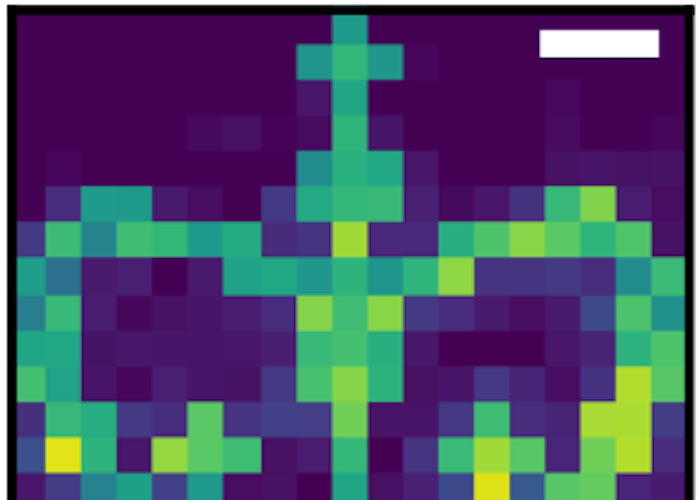 The Columbia Crown, created by photoswitchable avalanching nanoparticles.