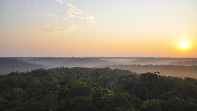 Gentine Amazon rainforest