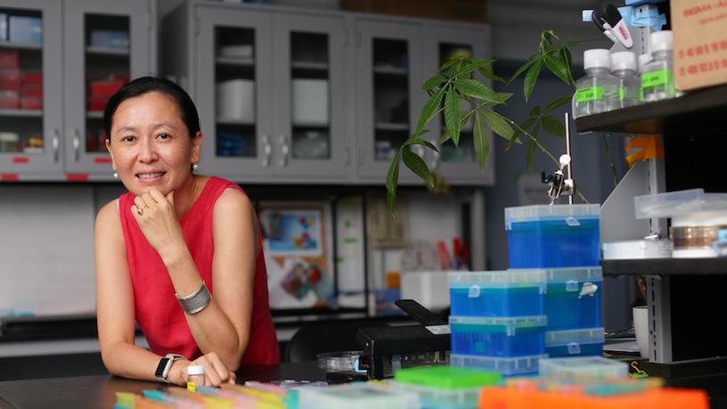 Helen Lu elected to National Academy of Inventors