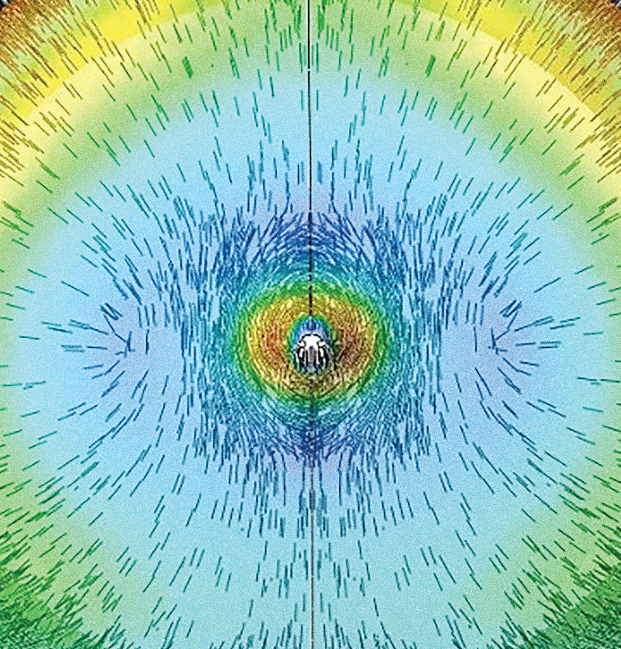 microscopic image of a soft tissue sample