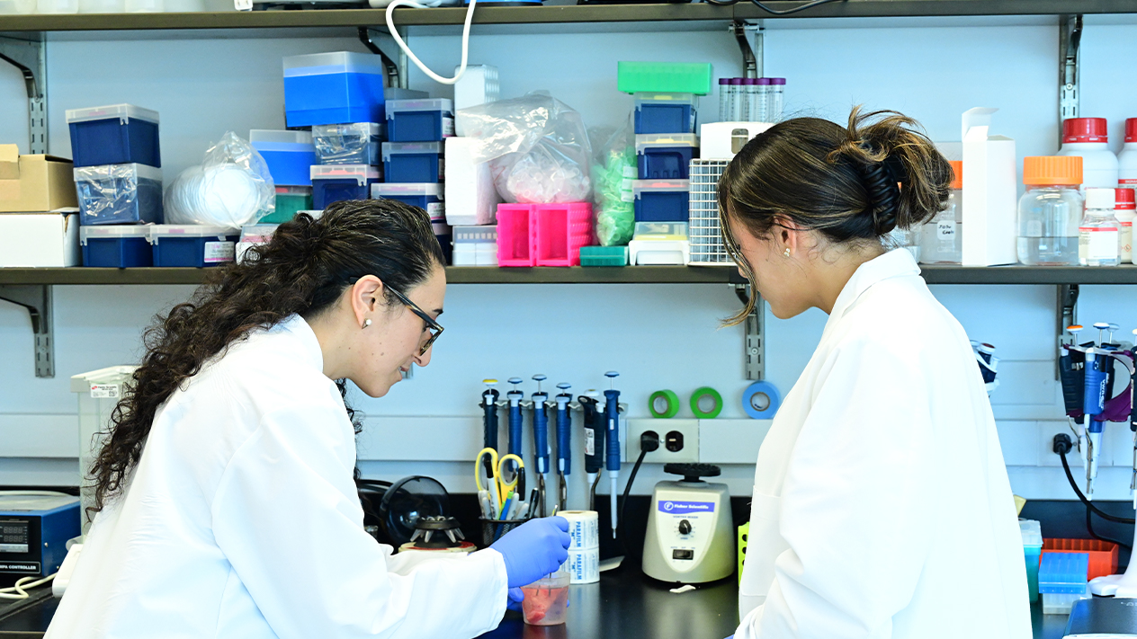 Prospective Student DEI Resources Columbia Engineering