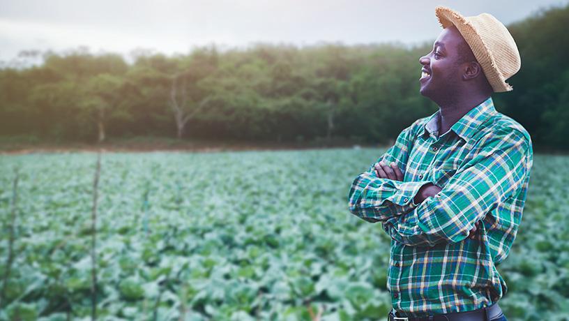 A farmer in a field