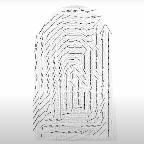 Fingerprint image overlayed with AI-detected angles and curvatures