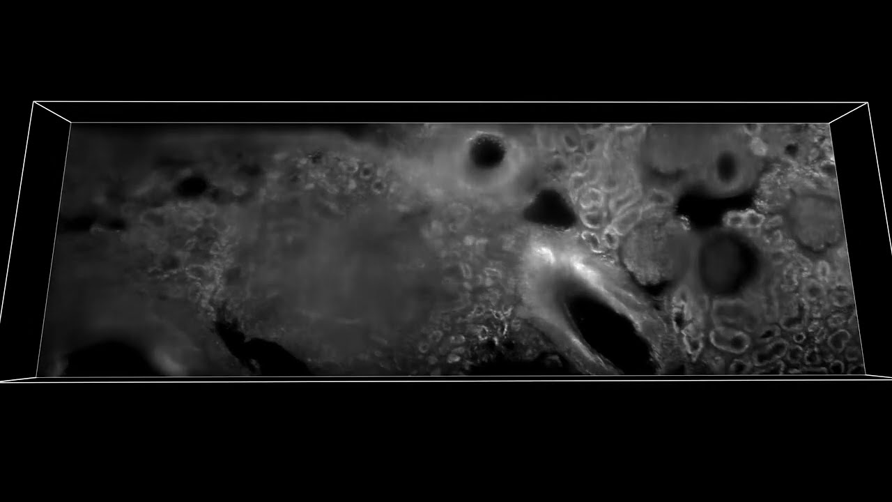 MediSCAPE