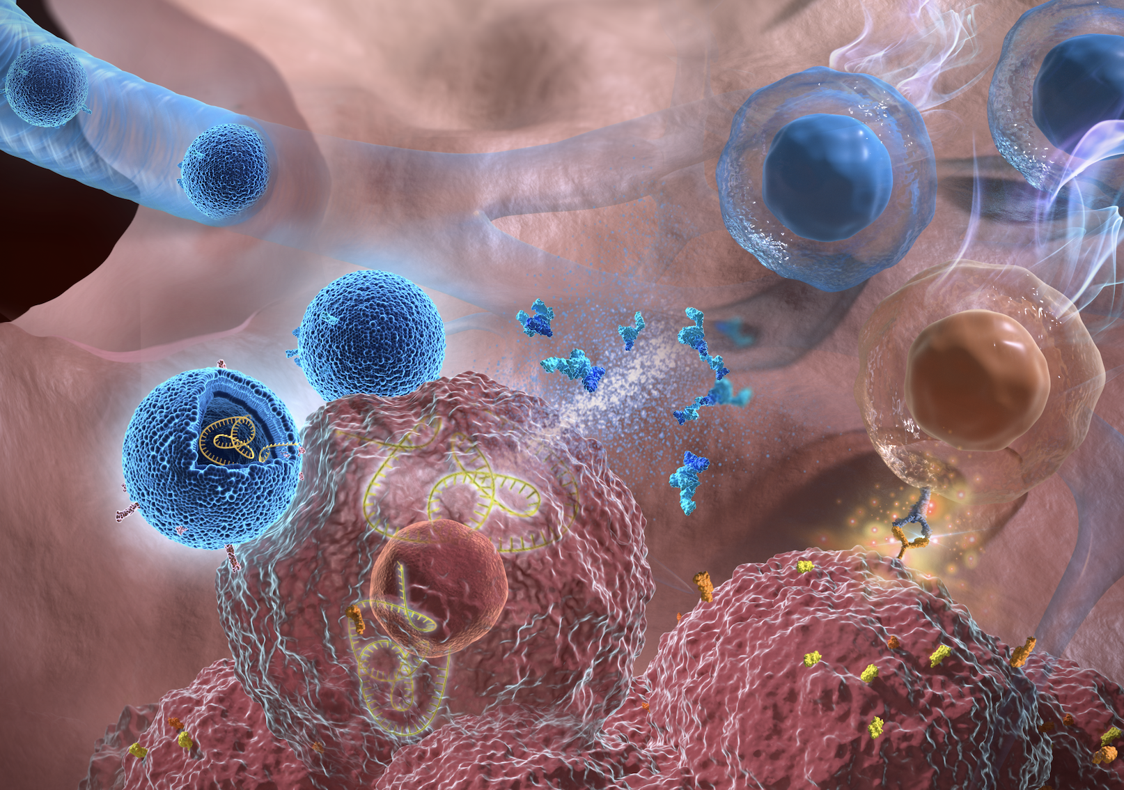 Scientific illustration of cellular structures.