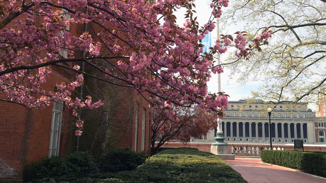 Butler Library in spring 2024, photo by Eileen Barroso