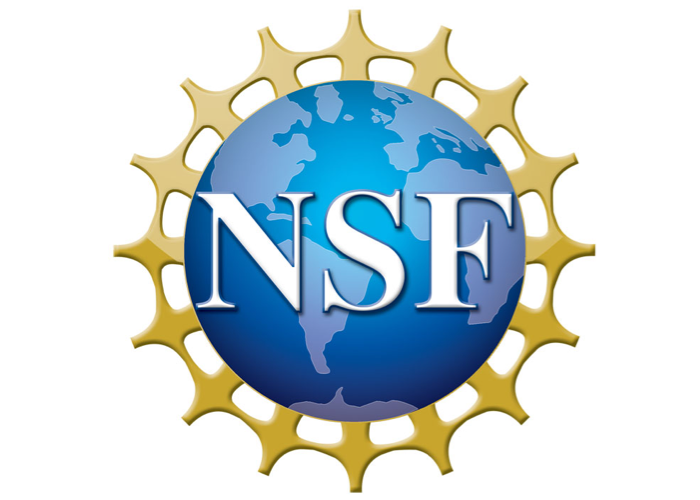 NSF logo