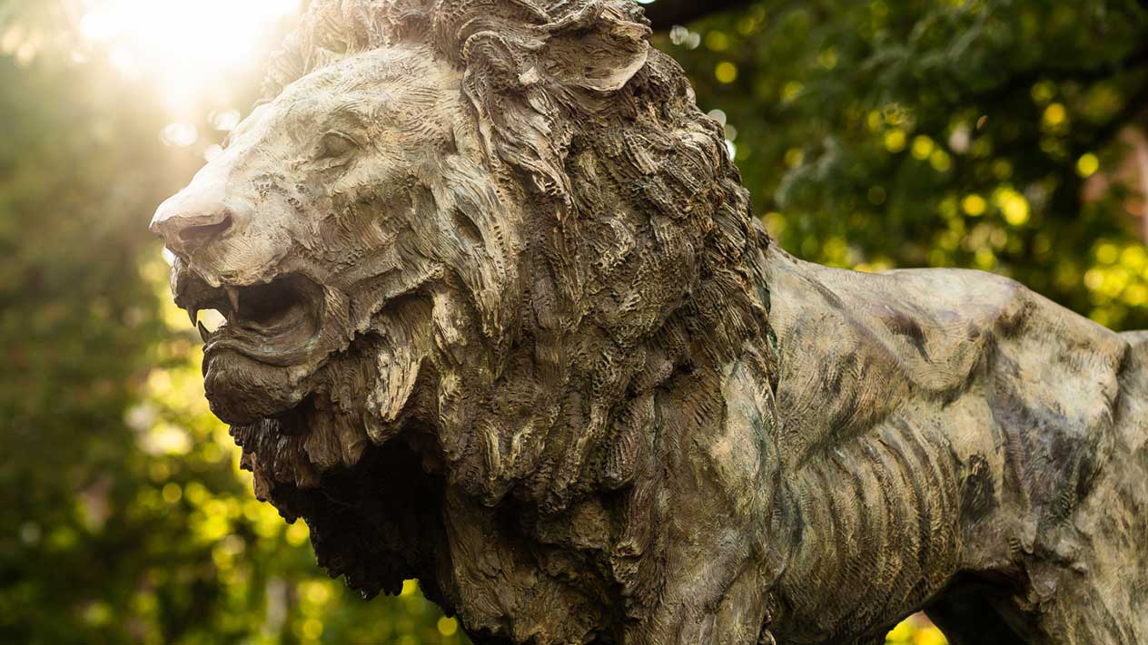 Lion statue on campus