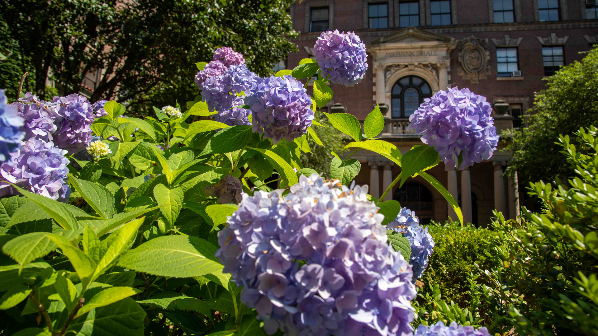 flowerss-campus