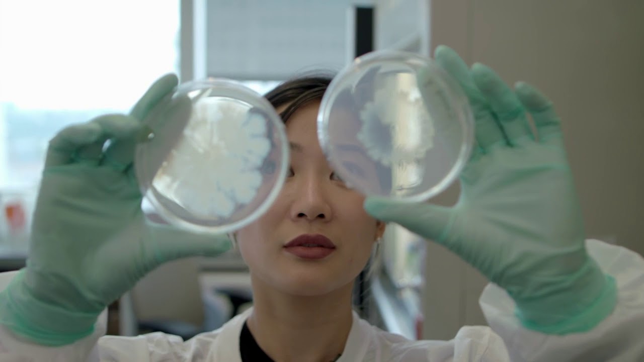 researcher with petri dishes