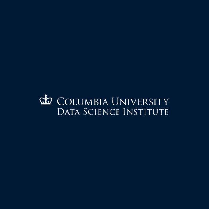 Data Science Institute logo