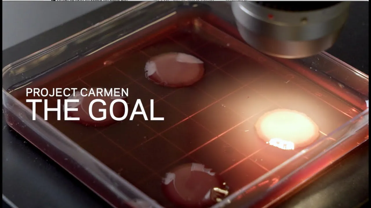 Project Carmen - The Goal
