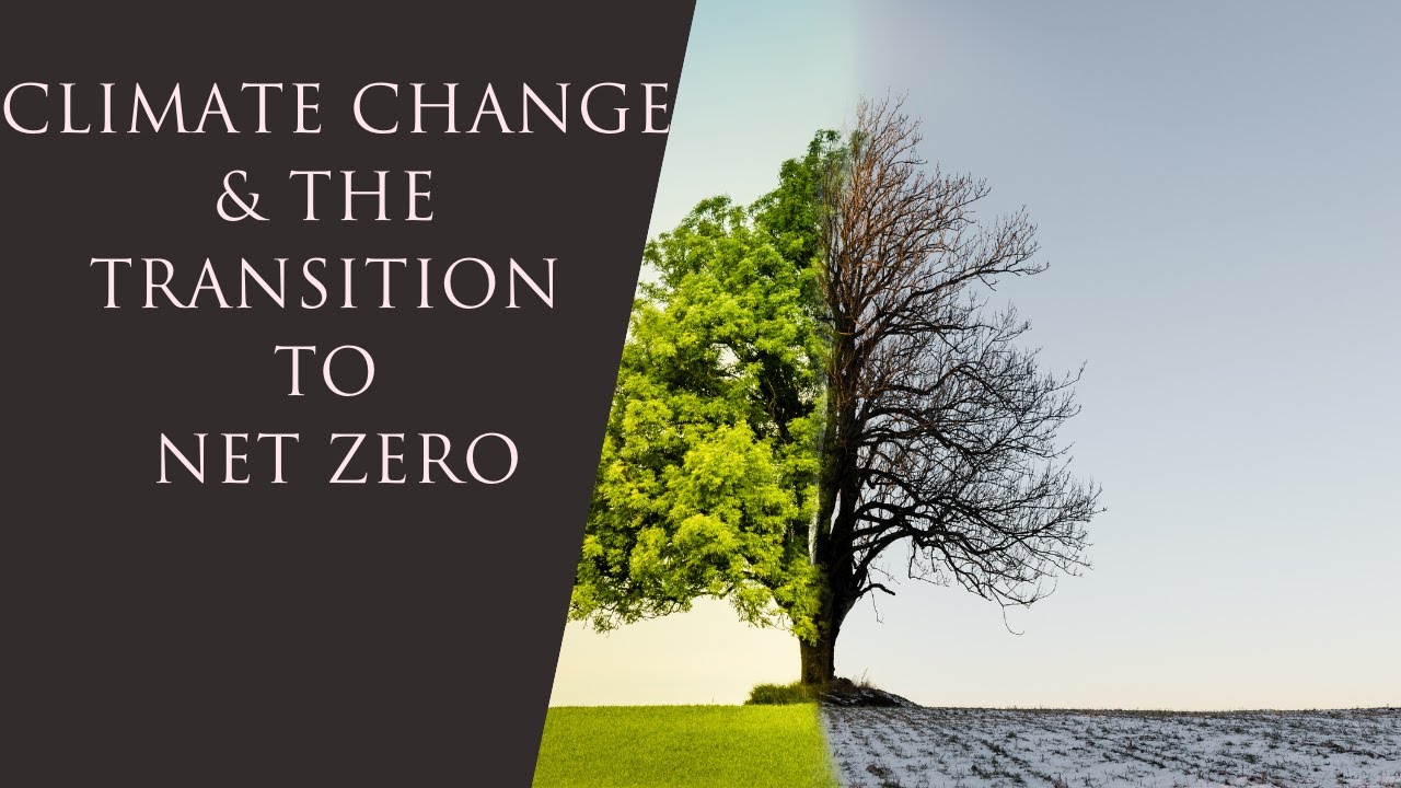  Climate Change and the Transition to Net Zero