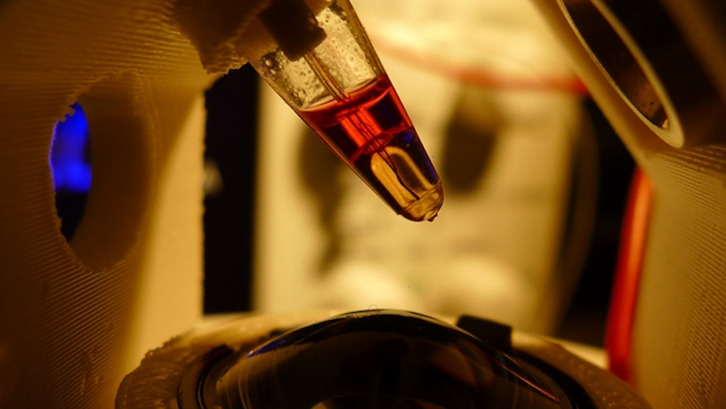 pcr_816