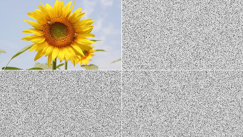 Easy Secure Photos