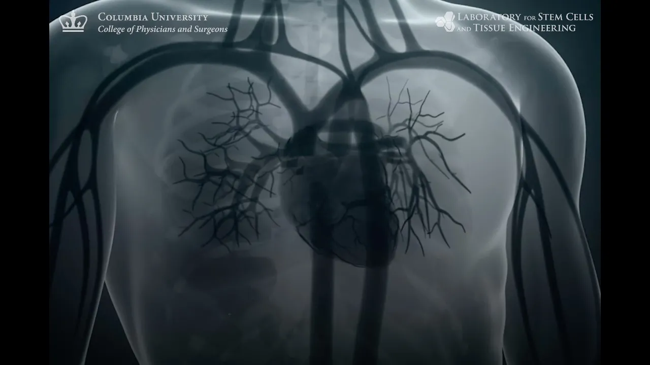 Regeneration of Severely Damaged Lungs