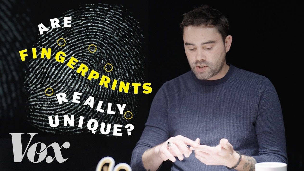 A person looks at their fingerprints. Title text reads "Are your fingerprints really unique? Vox"