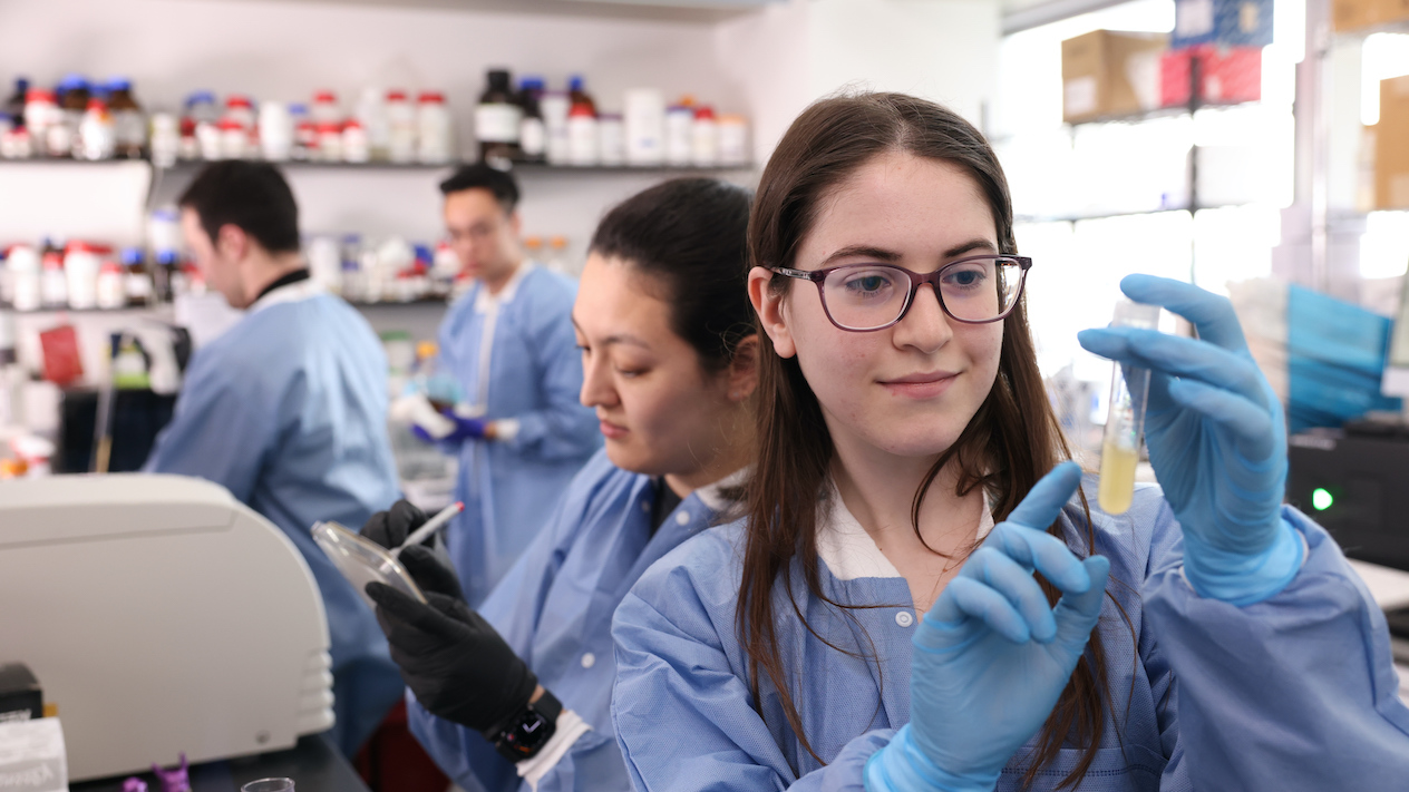 researchers working in the lab