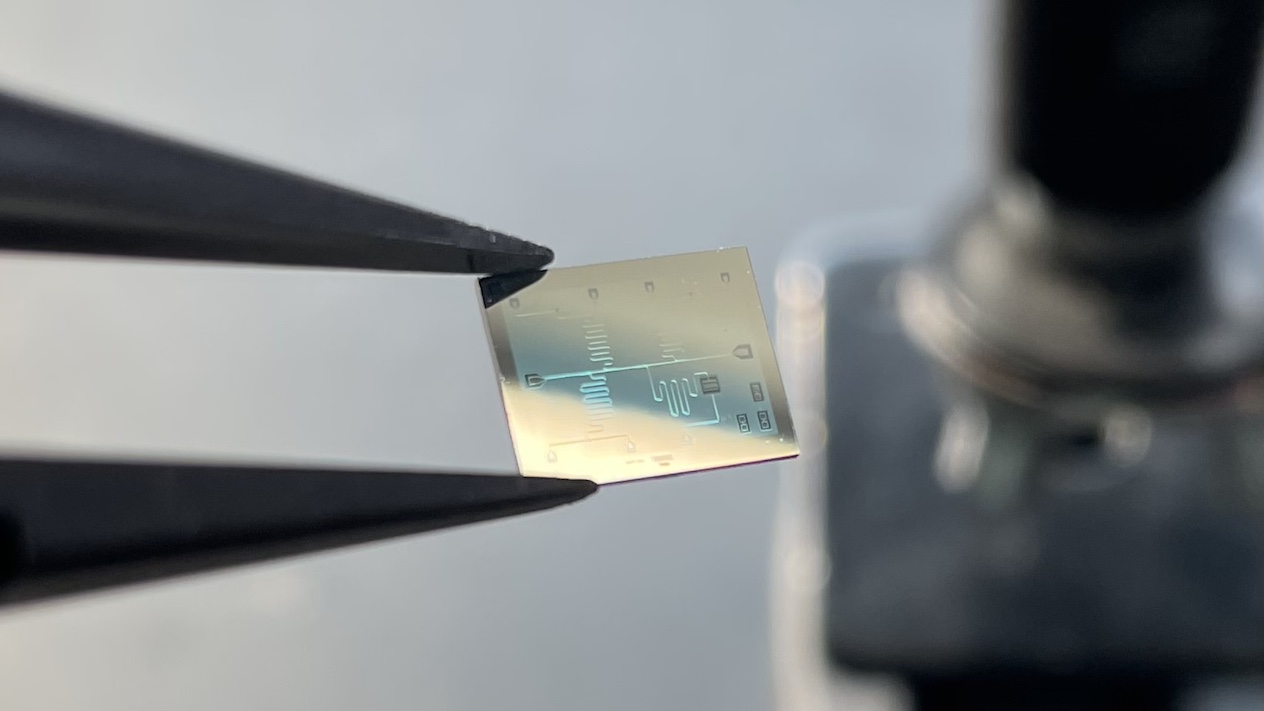 A 1-centimeter-wide test chip with superconducting microwave-frequency circuitry to probe 2D material qubits.
