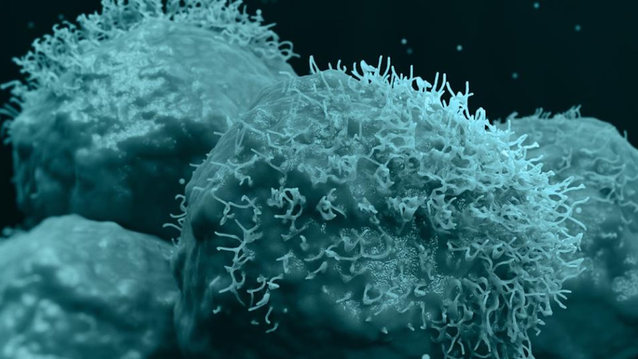 close up image of cells