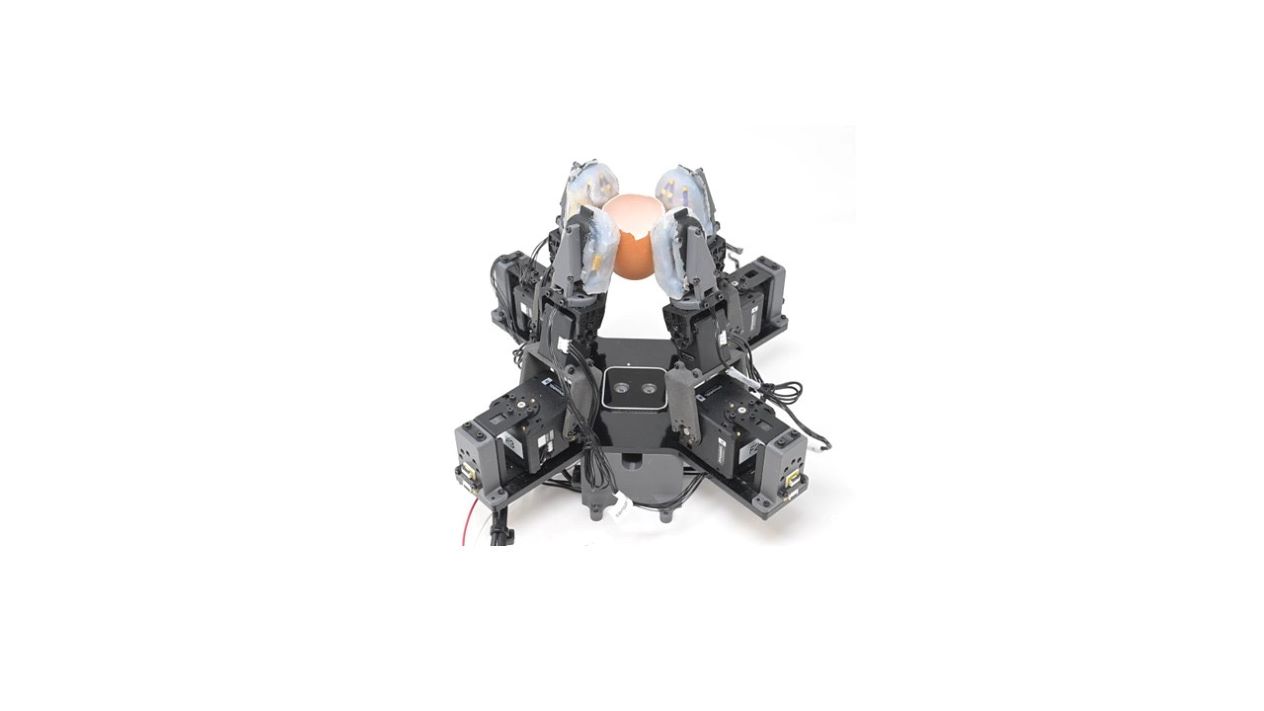 robotic hand holding an egg