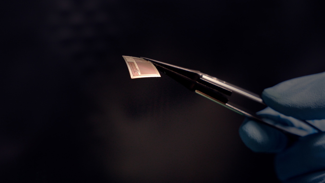 The BISC implant shown here is roughly as thick as a human hair