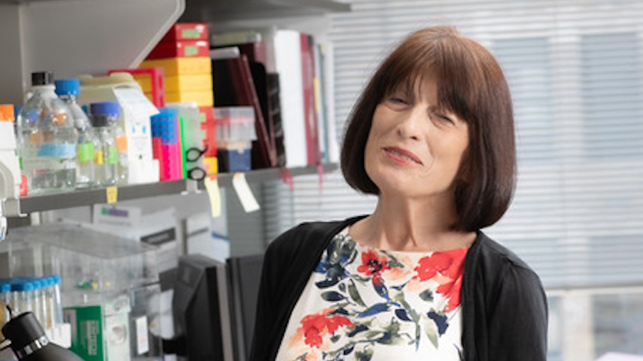  Gordana Vunjak-Novakovic headshot