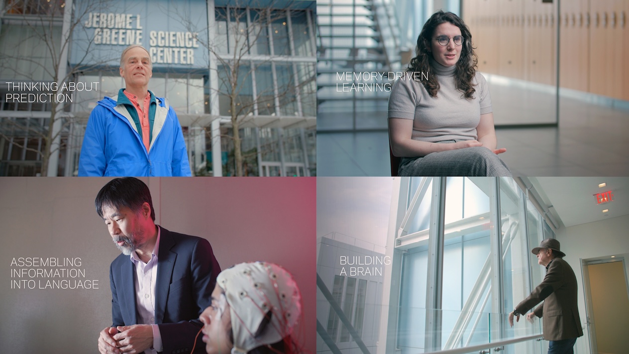 gallery of 4 video thumbnails of ARNI leadership