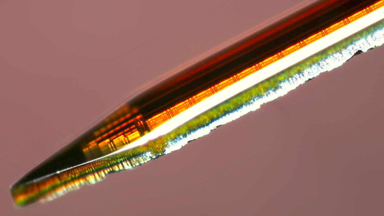 Acus is a CMOS implantable fluorescence imager to monitor neural circuits in deep regions of the brain