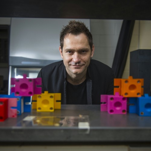 Sinisa Vukelic Profile