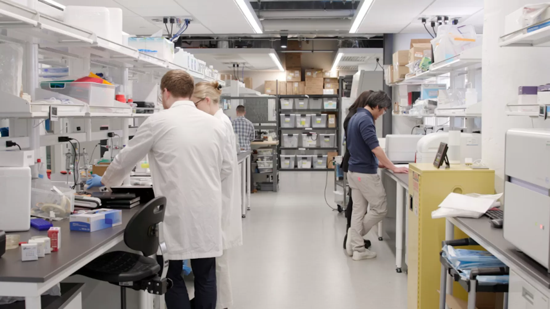 researches in a laboratory