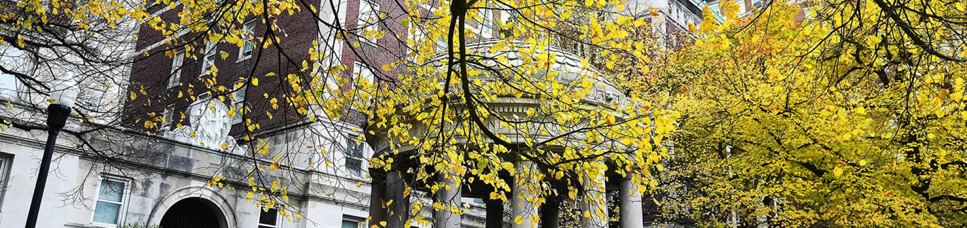 A view of a residence hall on Columbia University's campus with leaves in the foreground.