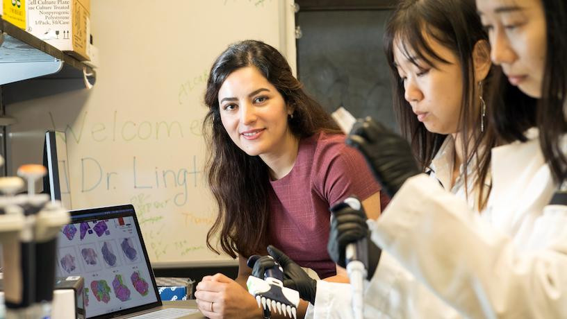 elham-azizi-columbia-engineering