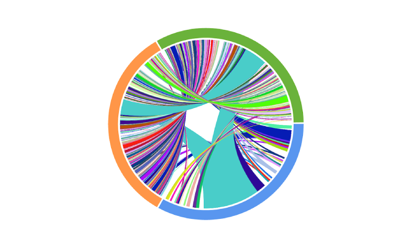 A Circos plot representing the results of matched T-cell receptor sequencing