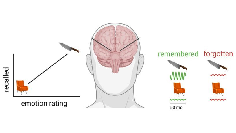 A diagram depicting emotional memory
