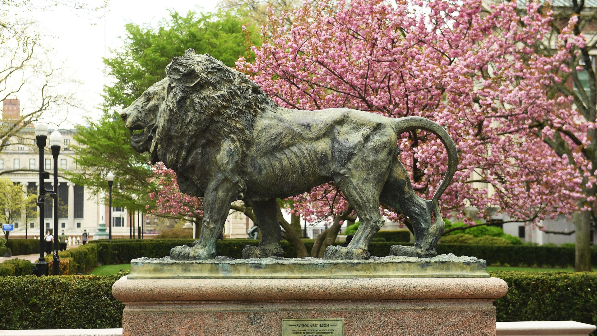 The Scholar's Lion on Columbia Engineering's campus