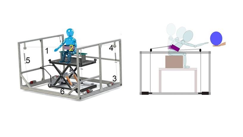Trunk Support Trainer (TruST)