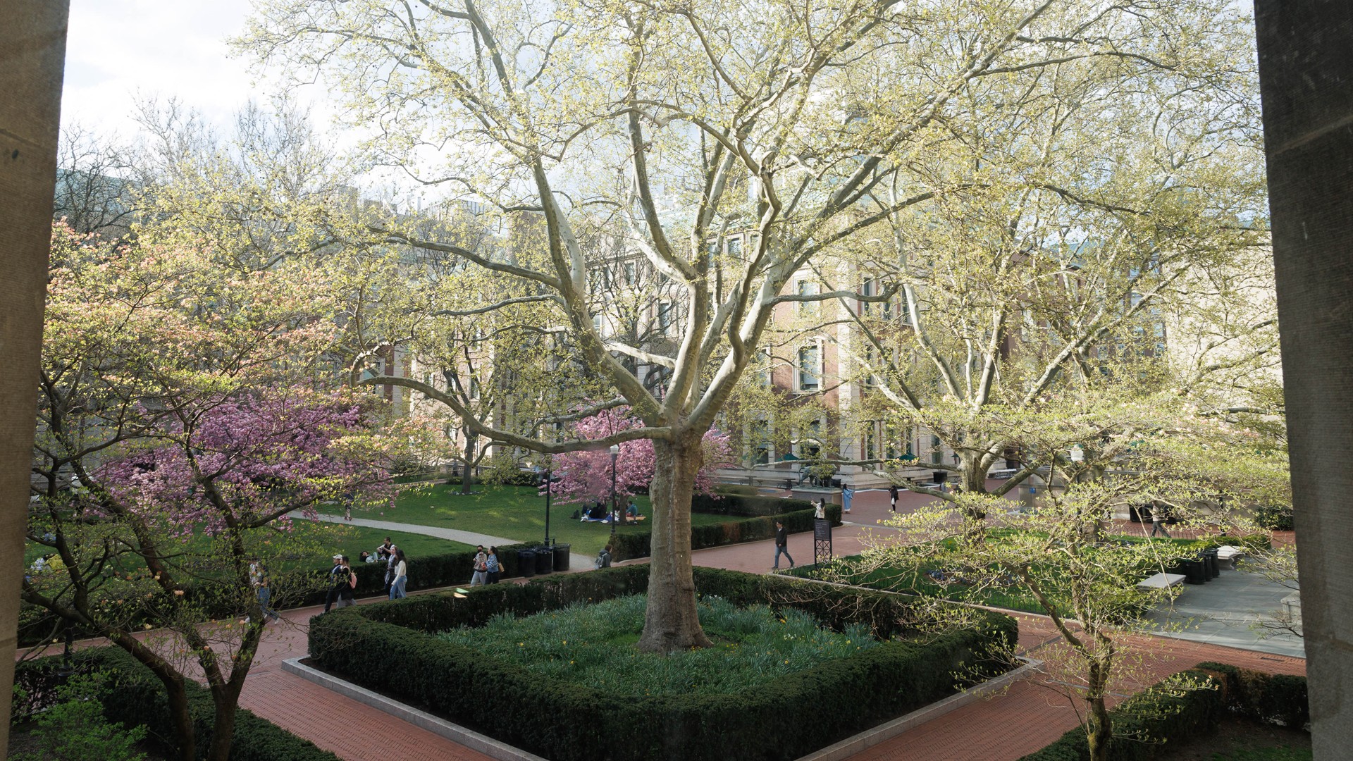 campus