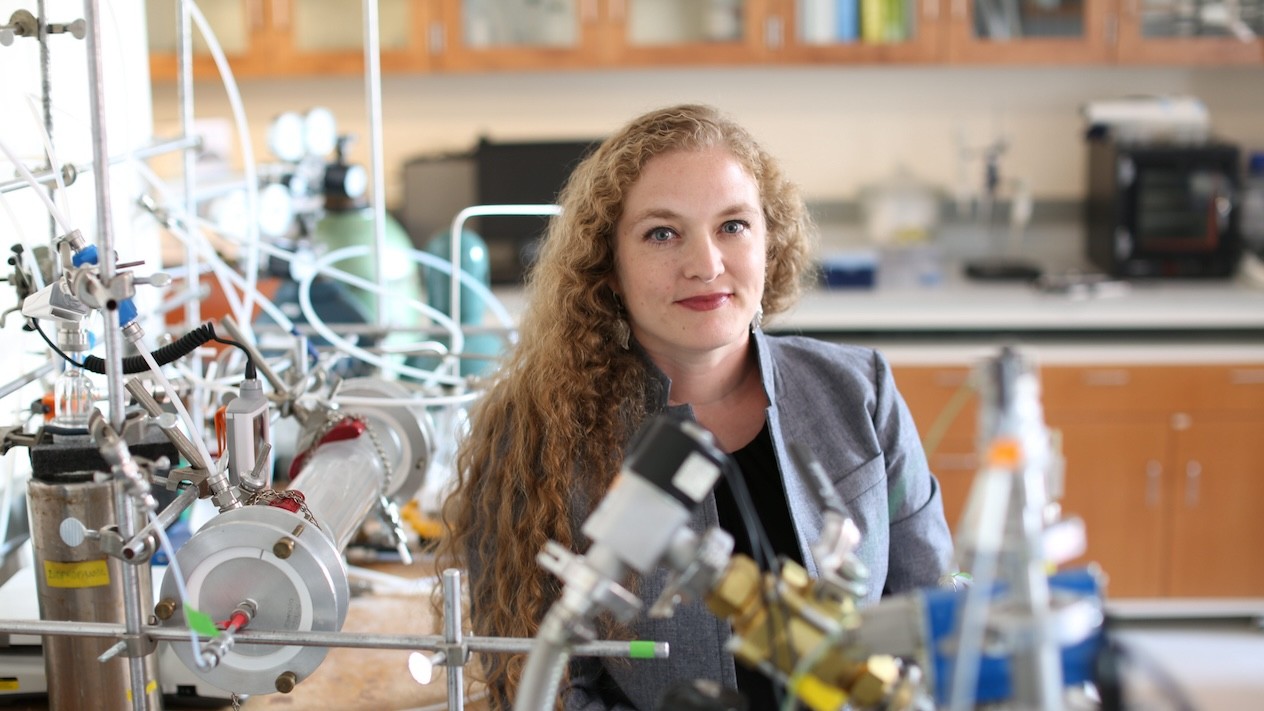 Faye McNeill in a lab