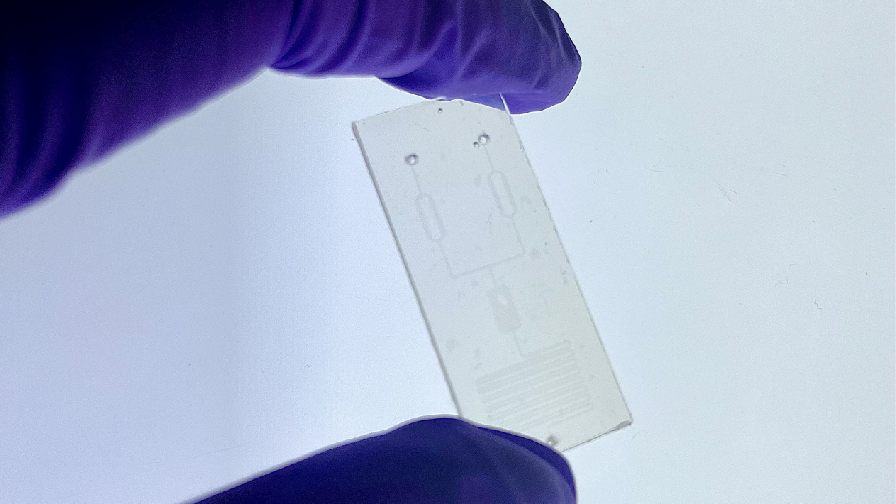 A chip fabricated by the lab of Sam Sia made of a bioplastic material that is fully biodegradable.
