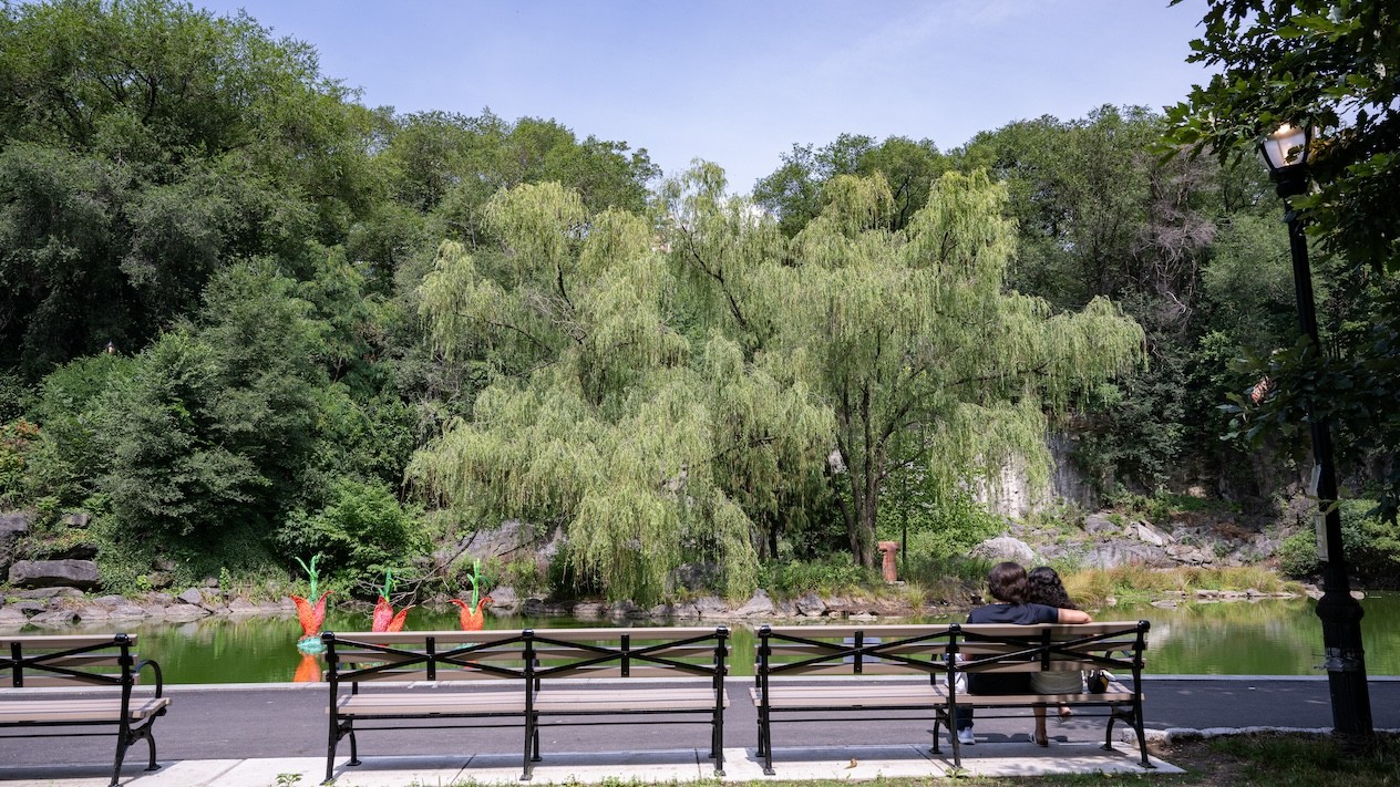 View of Morningside Park Pond taken July 2023