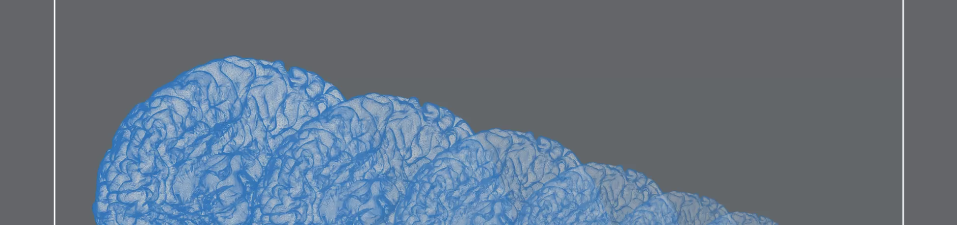 Illustrations of the human brain