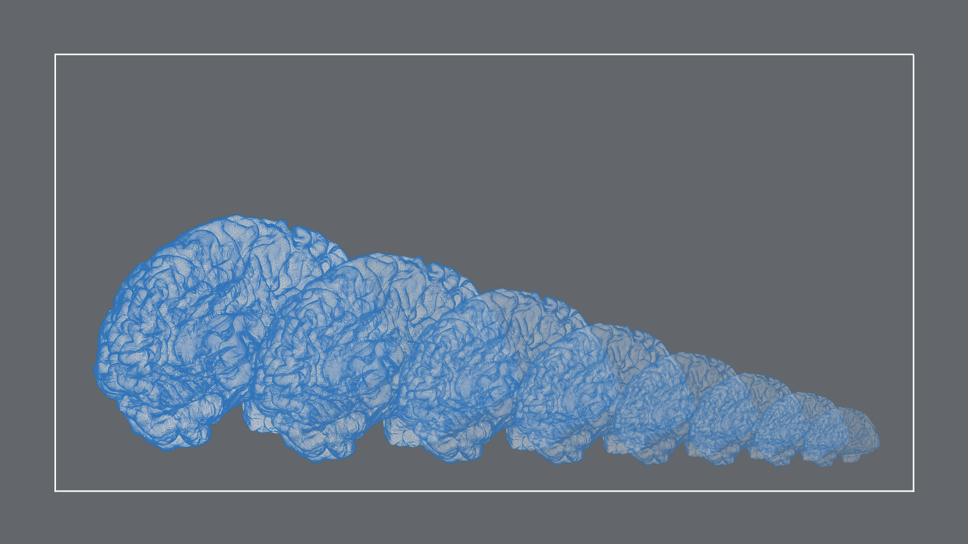 Illustrations of the human brain