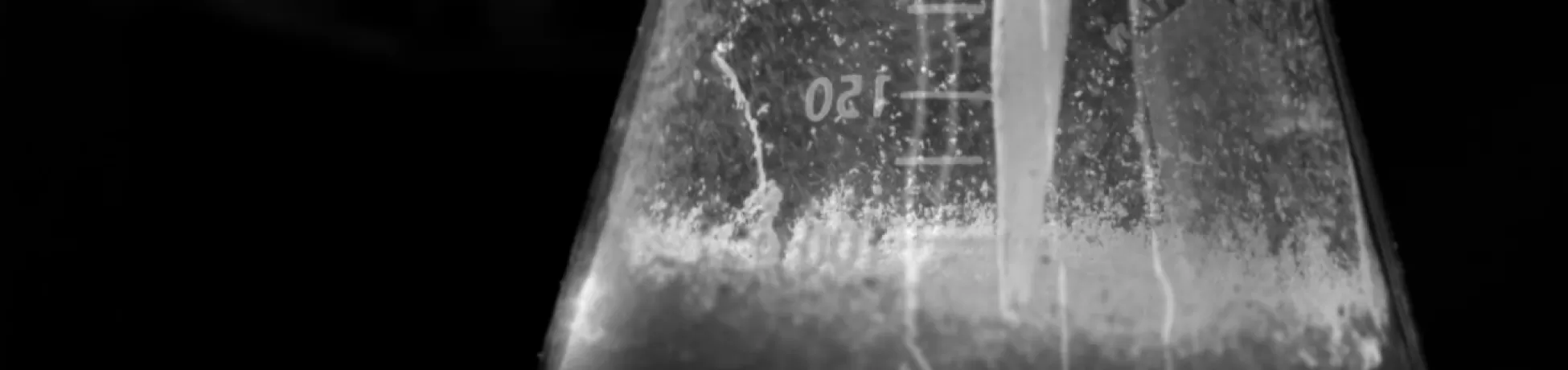 close up photo of a flask with material inside