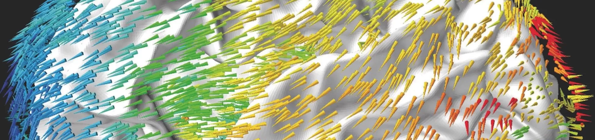 Scientific brain visualization showing a 3D cortical surface overlaid with multicolored directional fiber pathways and neural connectivity vectors.