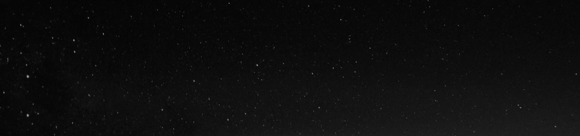 Black-and-white wide image of a dark night sky filled with scattered stars, with a faint horizon or ground line along the bottom.