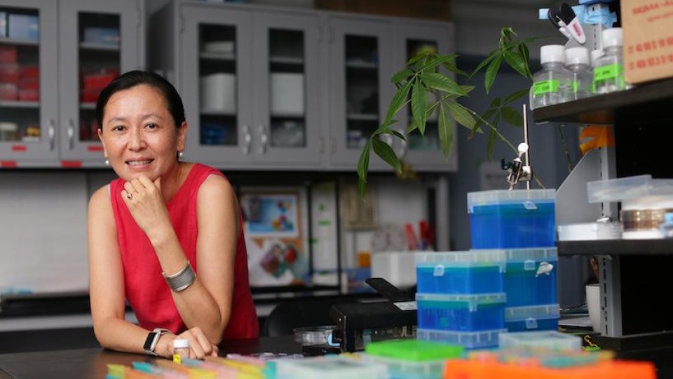 Helen Lu elected to National Academy of Inventors